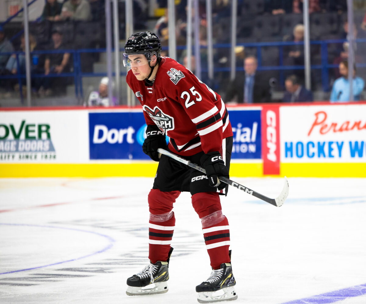 Vilmer Alriksson Guelph Storm