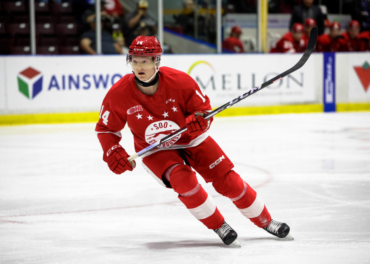 Owen Allard Sault Ste. Marie Greyhounds