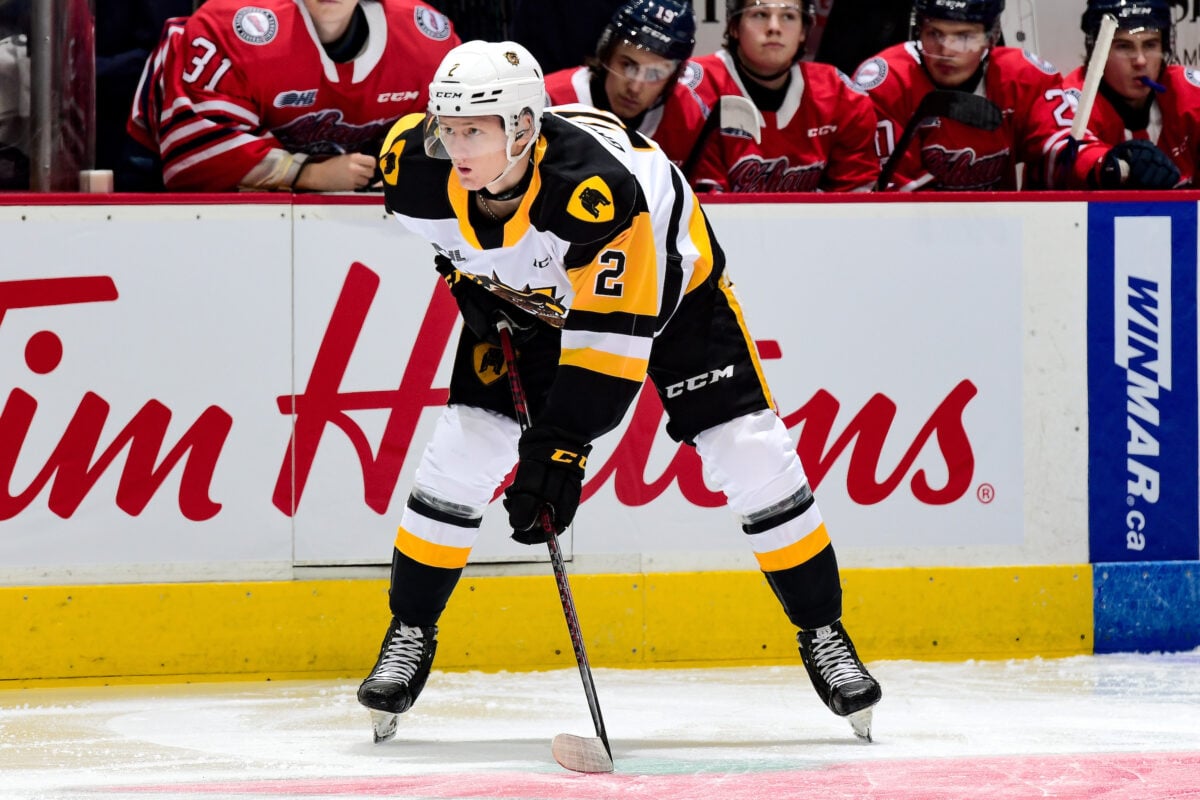 Artem Grushnikov Hamilton Bulldogs