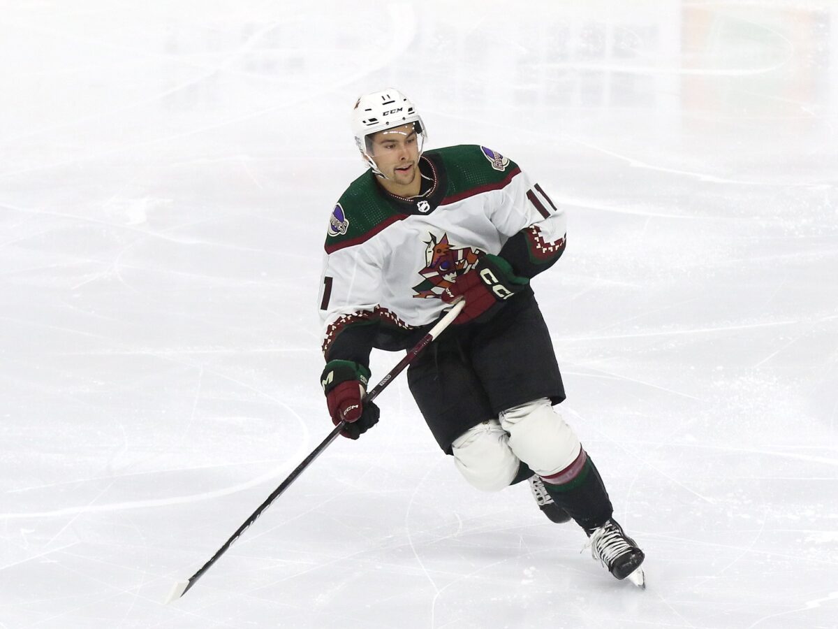 Dylan Guenther Arizona Coyotes