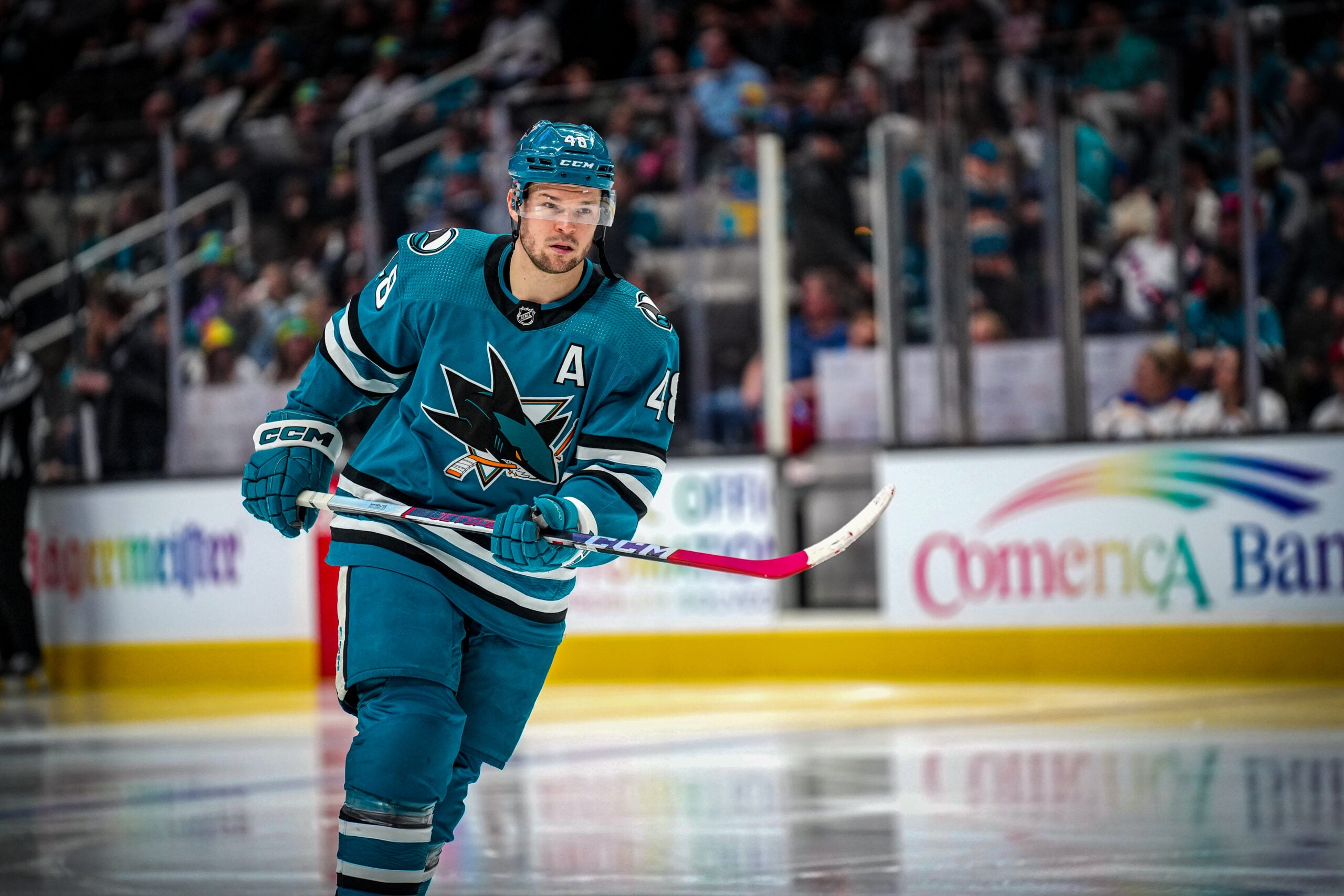 Tomas Hertl San Jose Sharks