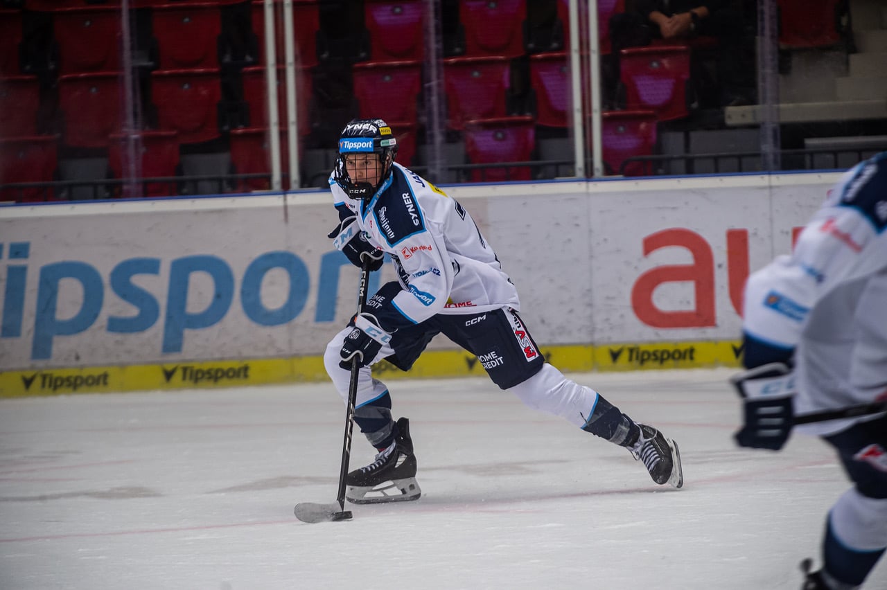 Tomas Galvas — 2026 NHL Draft Prospect Profile