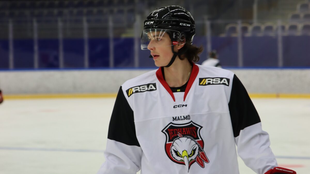 Dominik Badinka Malmo Redhawks