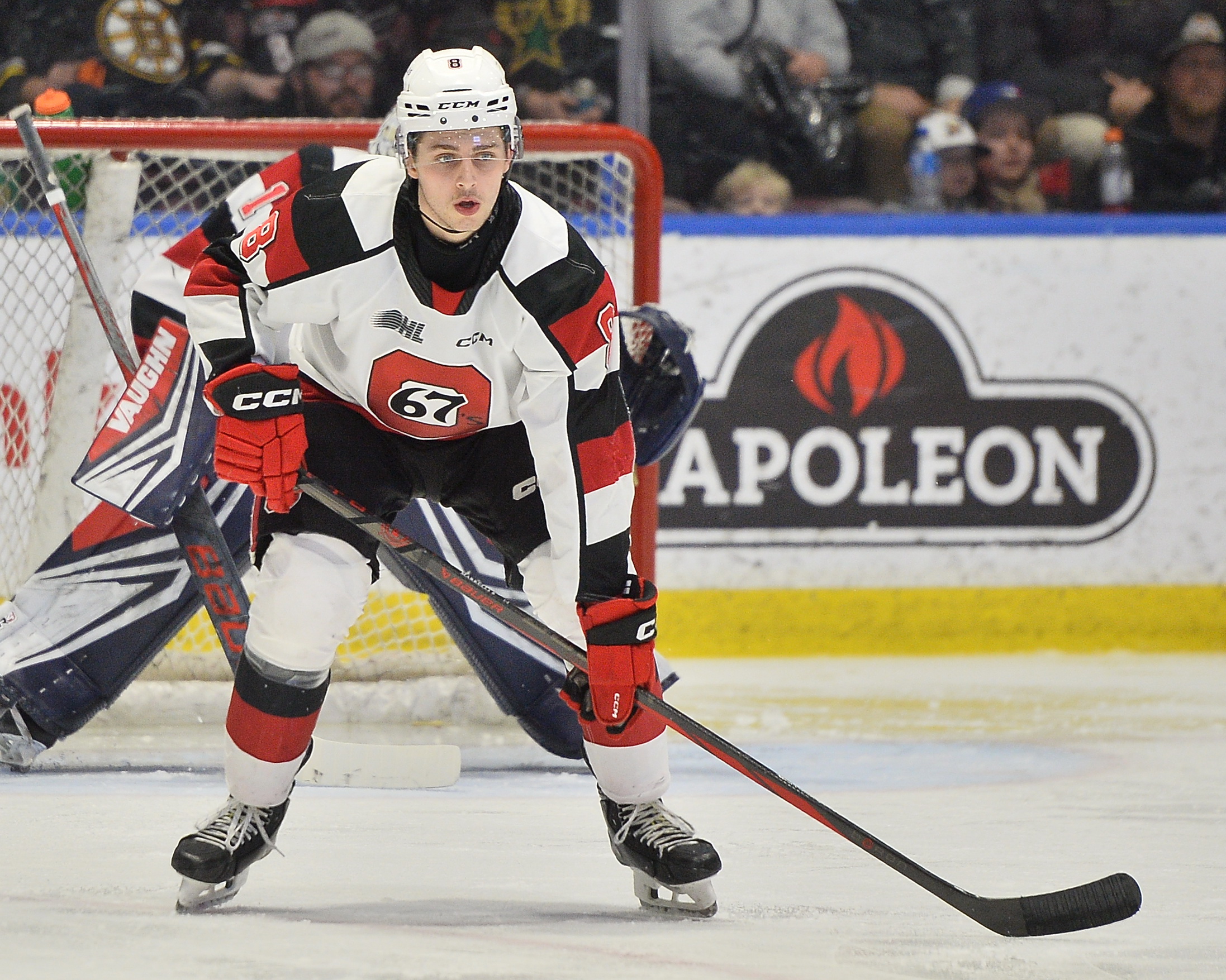 Frankie Marrelli Ottawa 67's