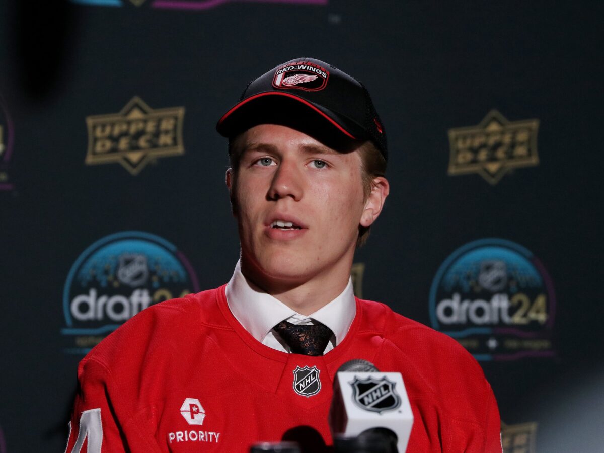 Michael Brandsegg-Nygard Detroit Red Wings