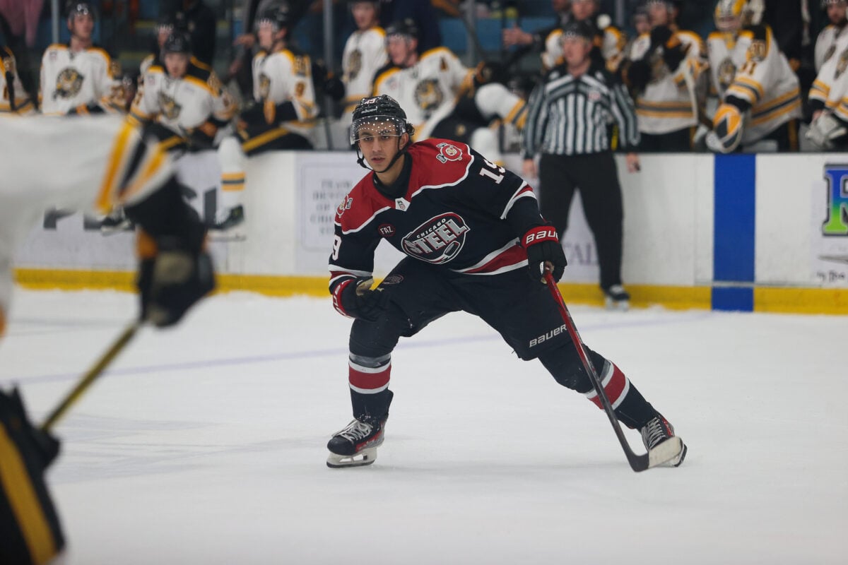 Michael Hage Chicago Steel