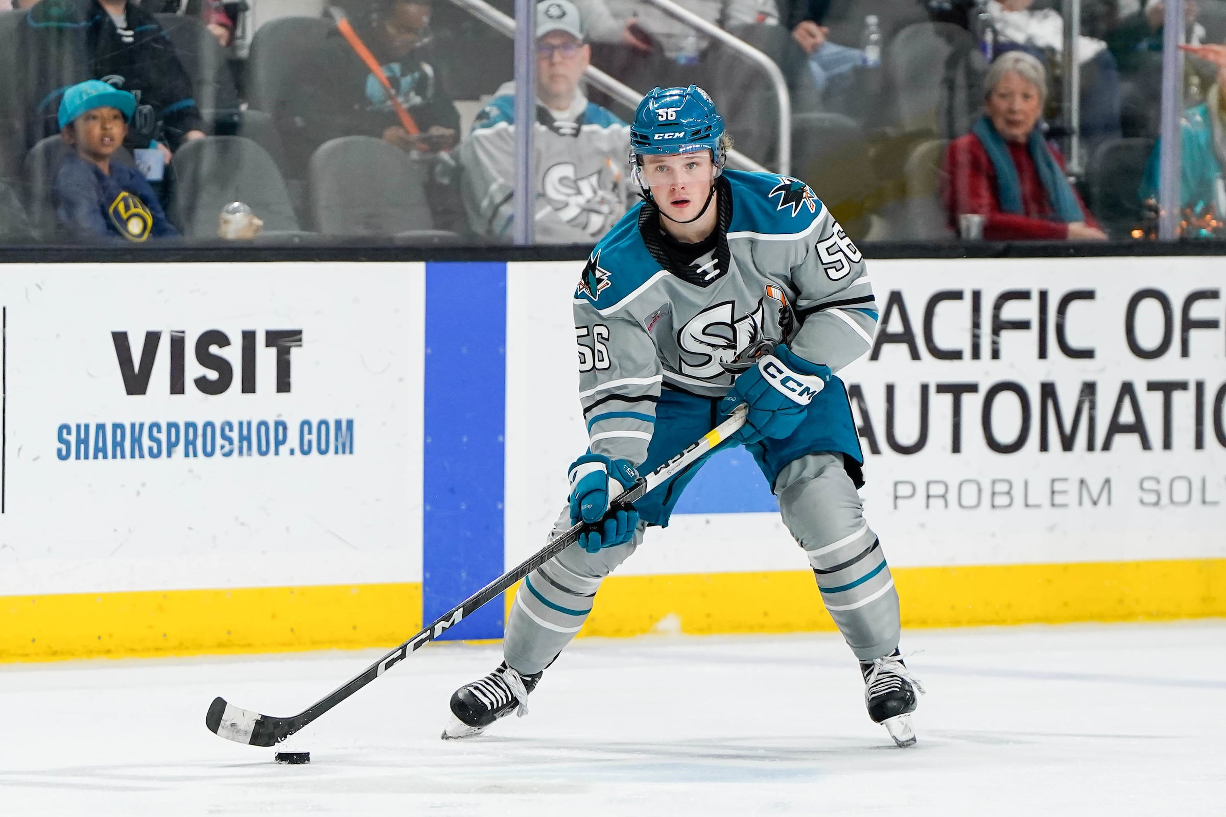 Barracuda’s Early Success Points to Sharks’ Bright Future