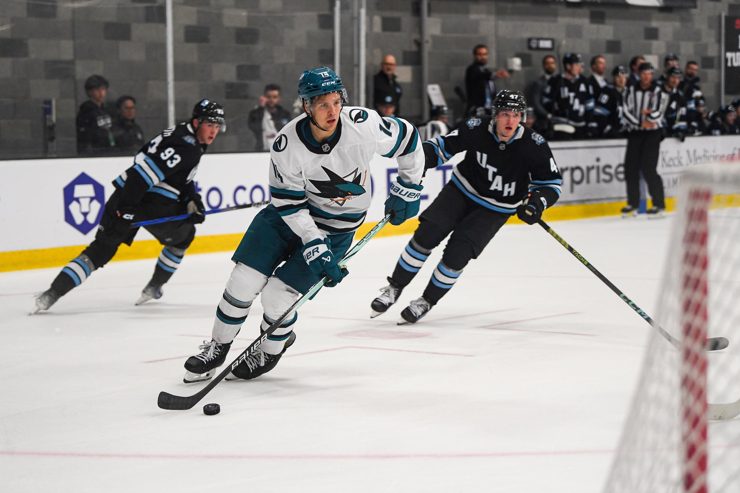 Sharks’ Forward and Defense Prospects in Very Different Places
