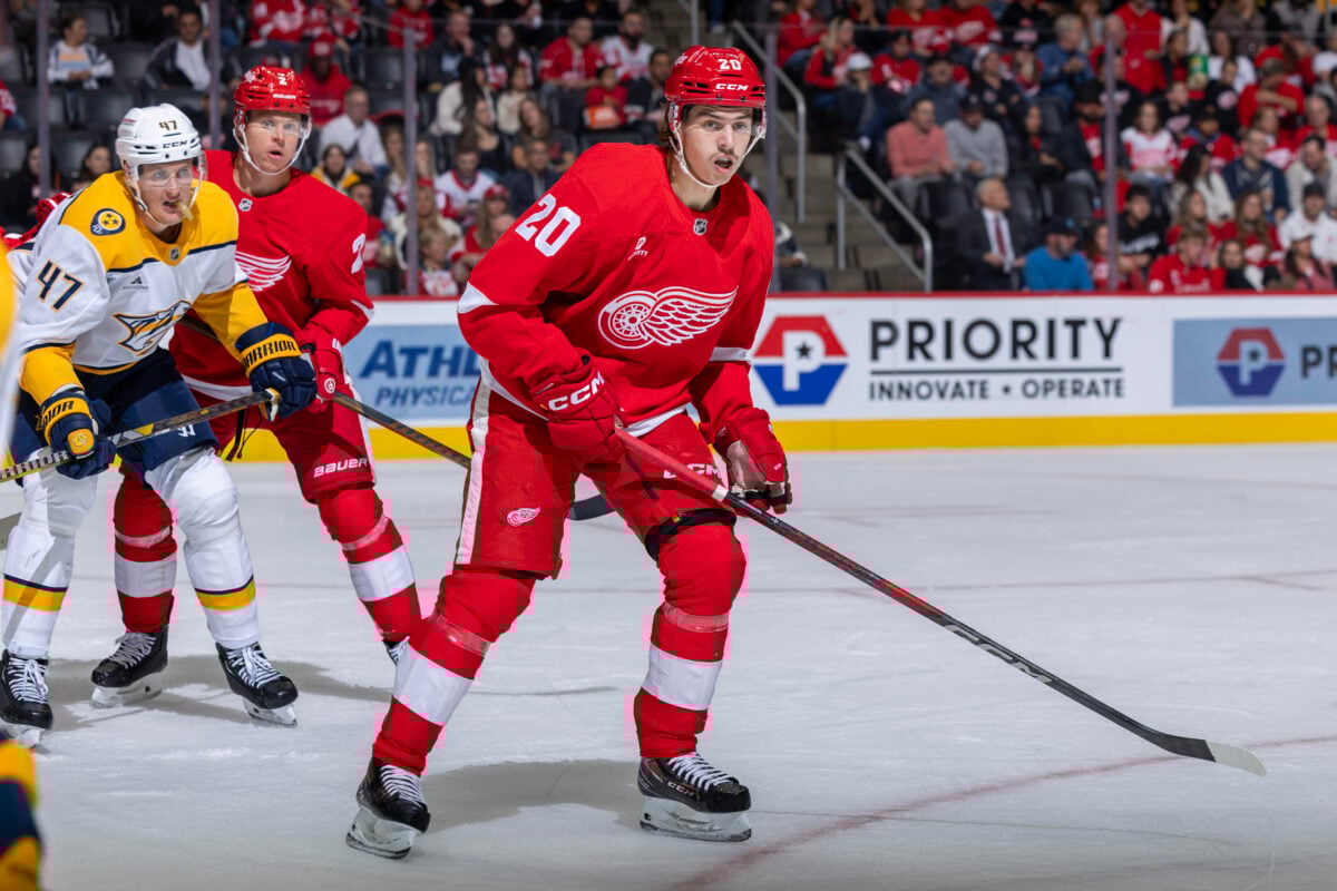 Albert Johansson Detroit Red Wings