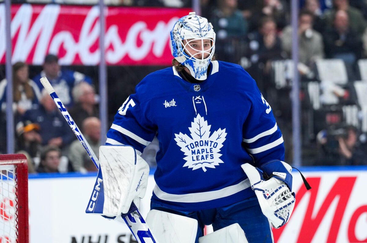 Dennis Hildeby Toronto Maple Leafs
