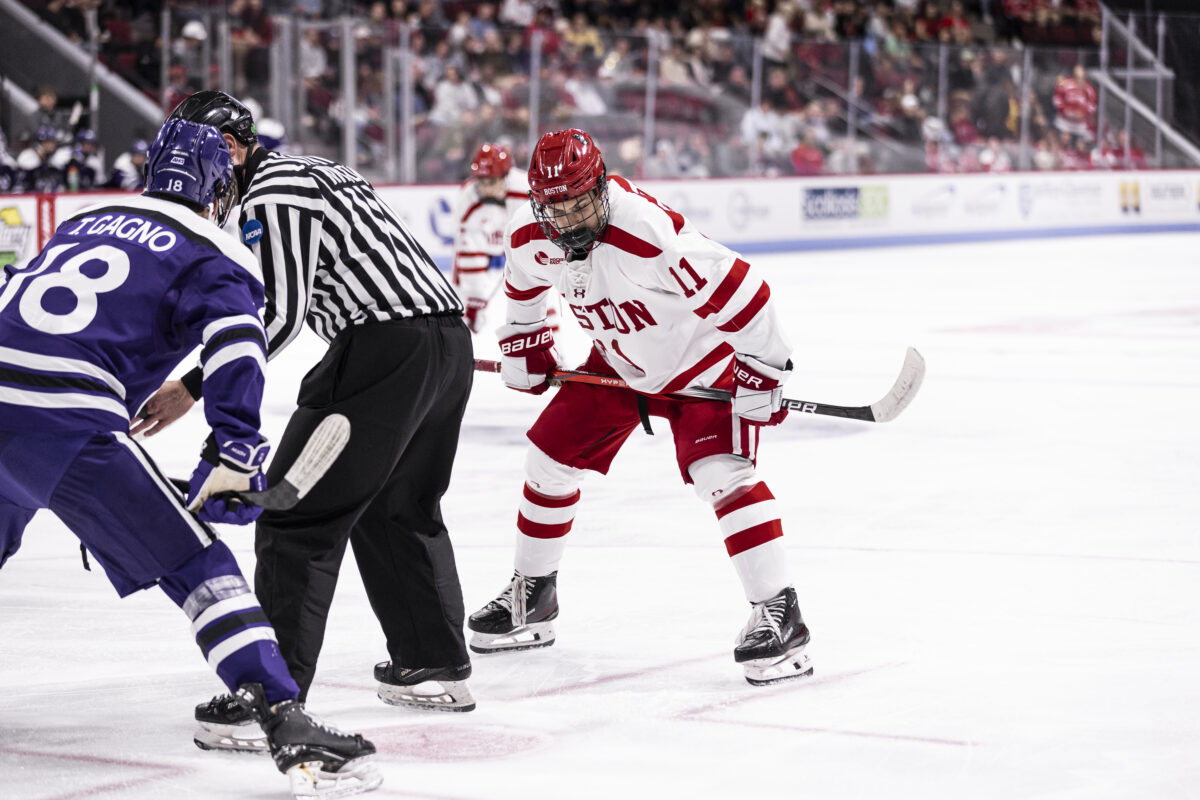 Kamil Bednarik Boston University