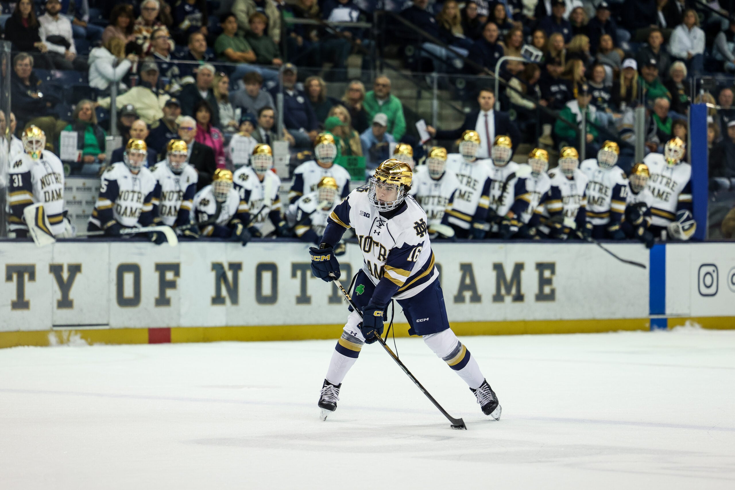 A Look at Every Oilers Prospect Playing NCAA Hockey in 2026-27