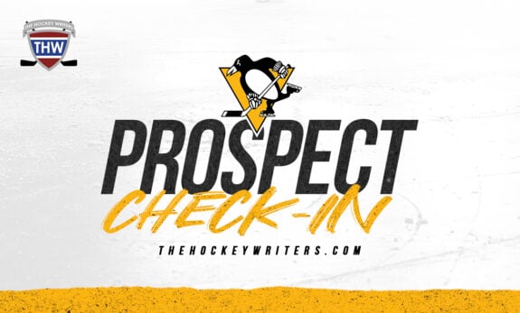 Penguins’ Ryan Miller Is Emerging as a Legitimate Late-Round Steal