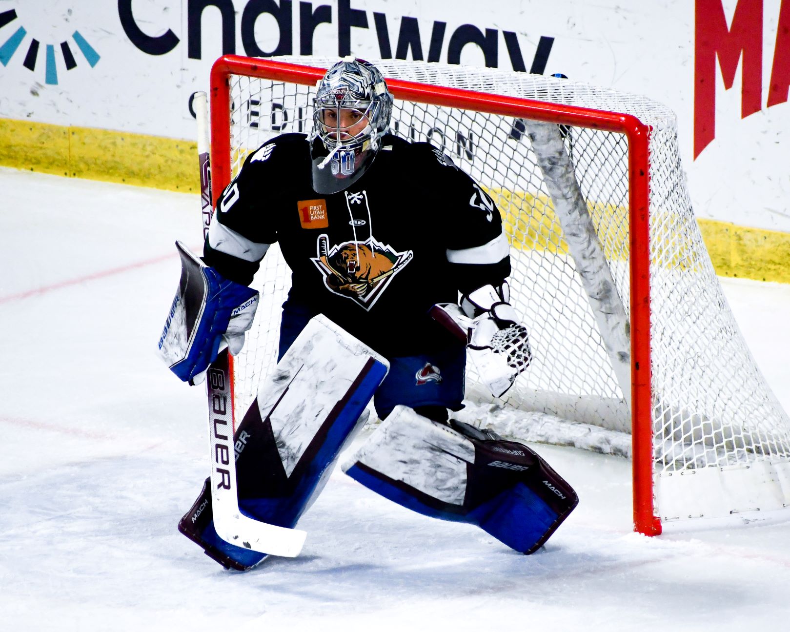 Utah Grizzlies Most Likely Relocating With Potential Sale