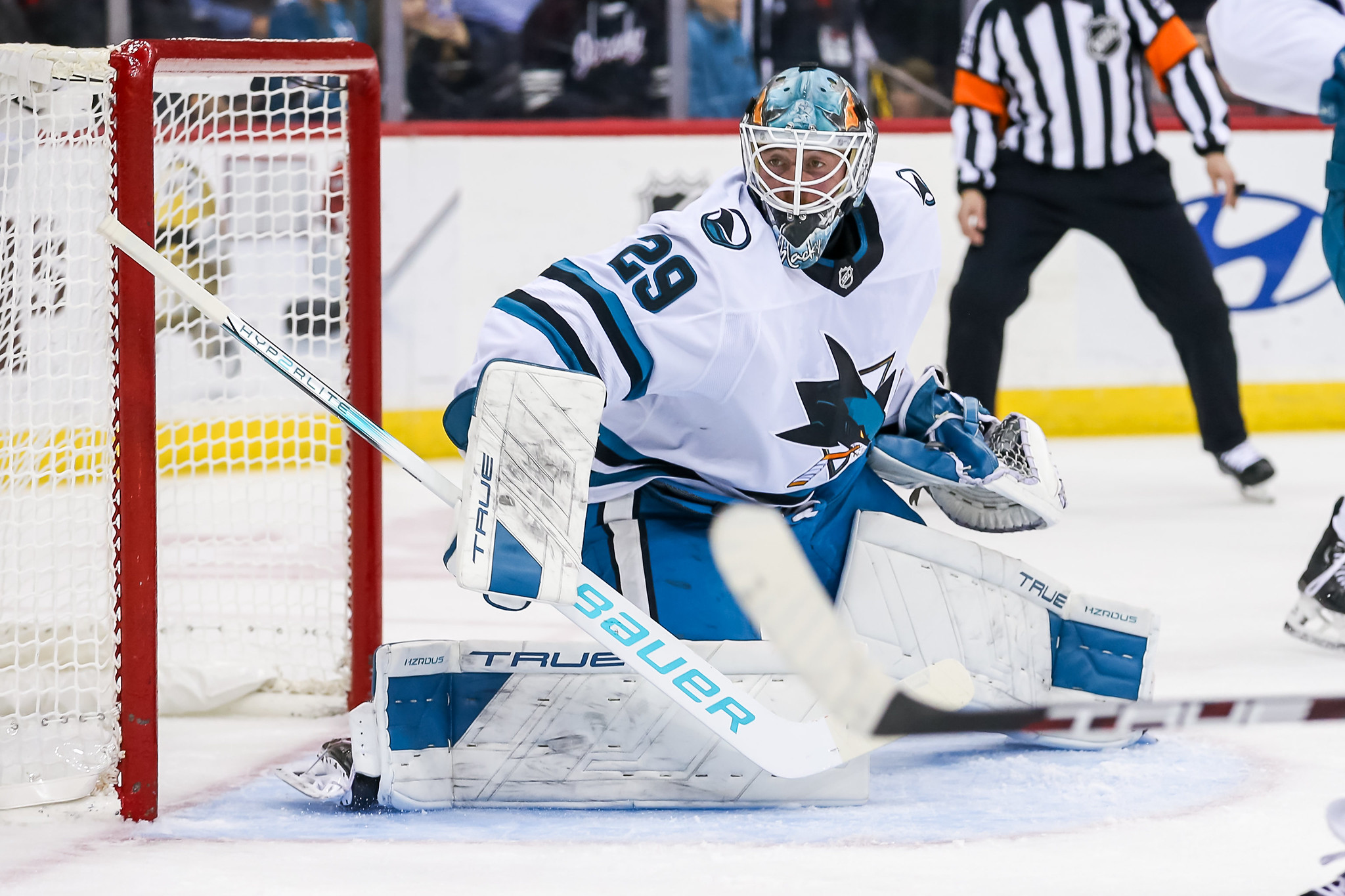 Sharks Relying on Vanecek and Blackwood for Better and for Worse