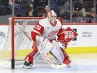 How Have the Red Wings’ Veterans Performed This Season?