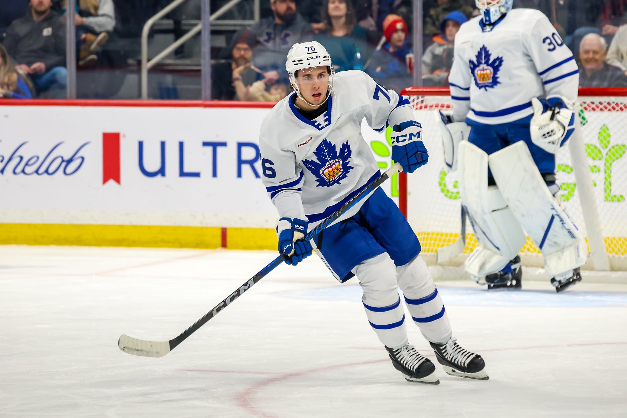 Marlies Making Unexpected Turn From Afterthought to Contender