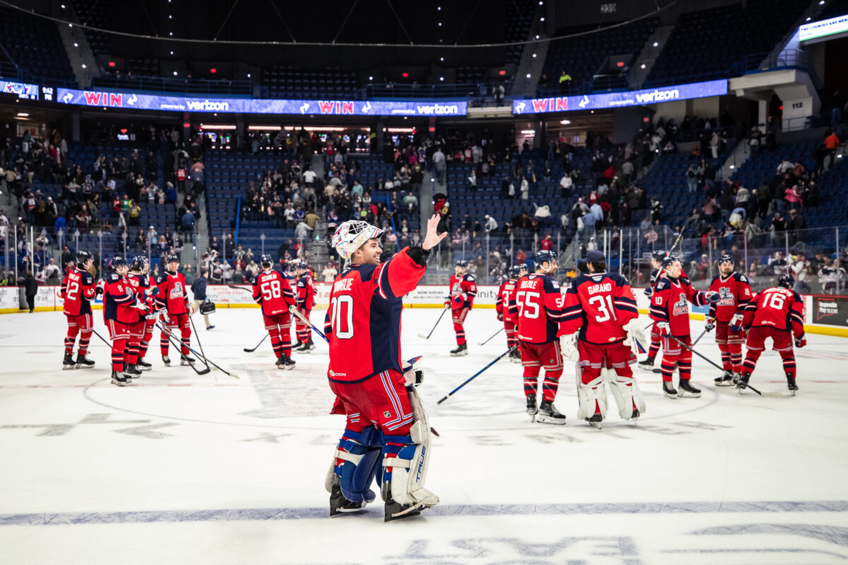 Louis Domingue Hartford Wolf Pack