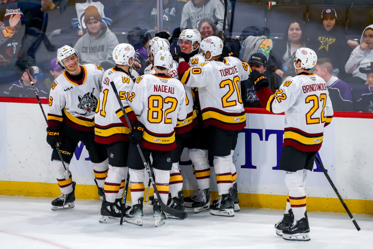 Chicago Wolves Celebrate