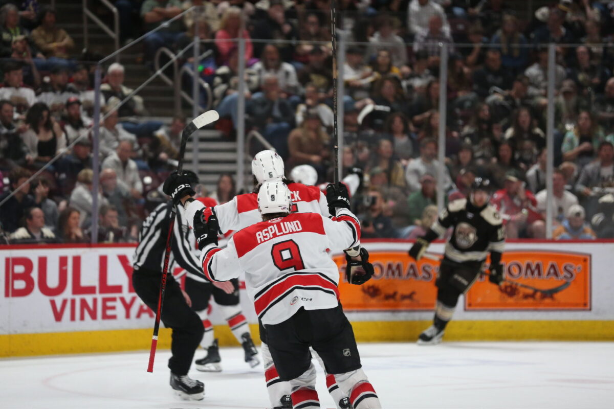 Charlotte Checkers Celebrate