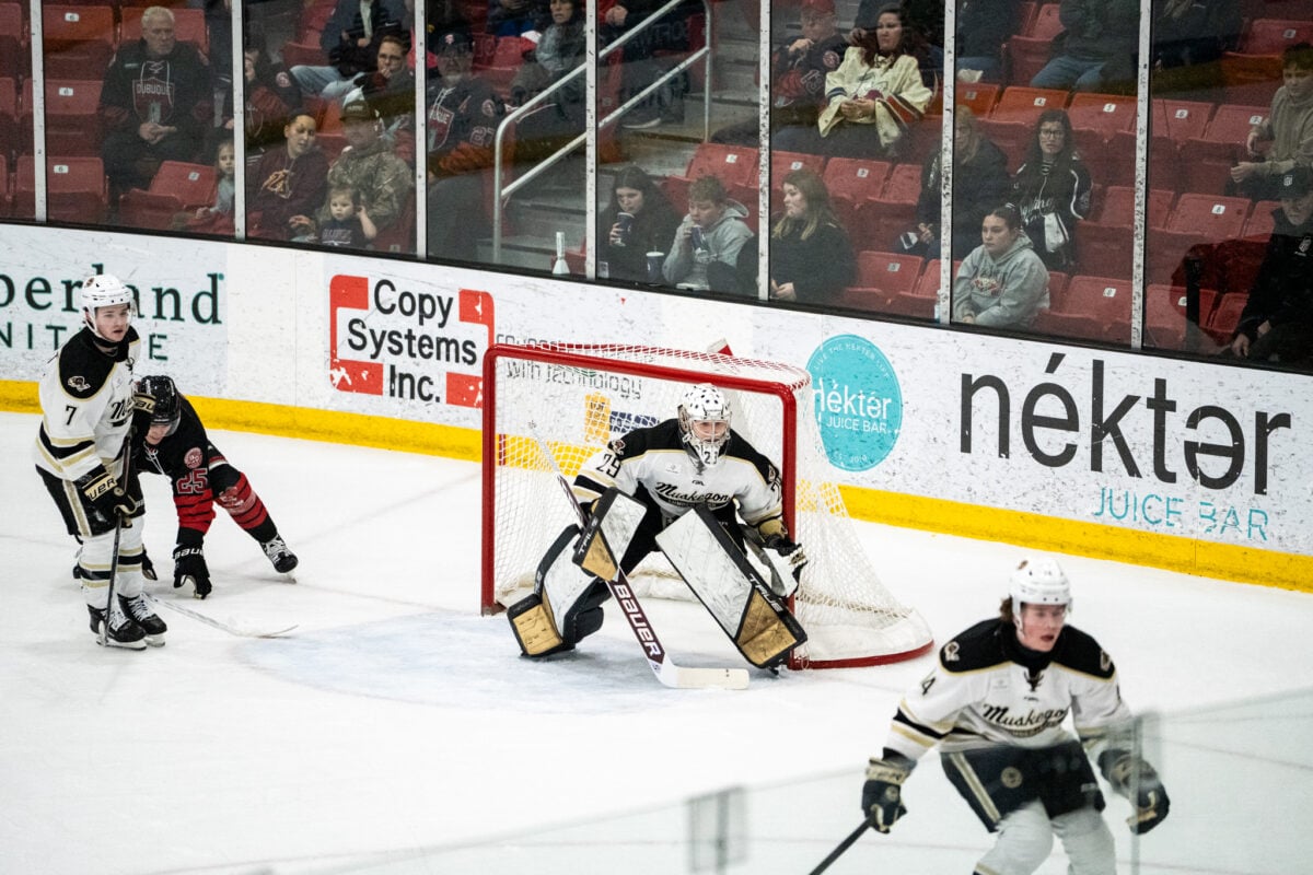 Shika Gadzhiev Muskegon Lumberjacks