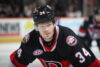 Stephen Halliday Belleville Senators