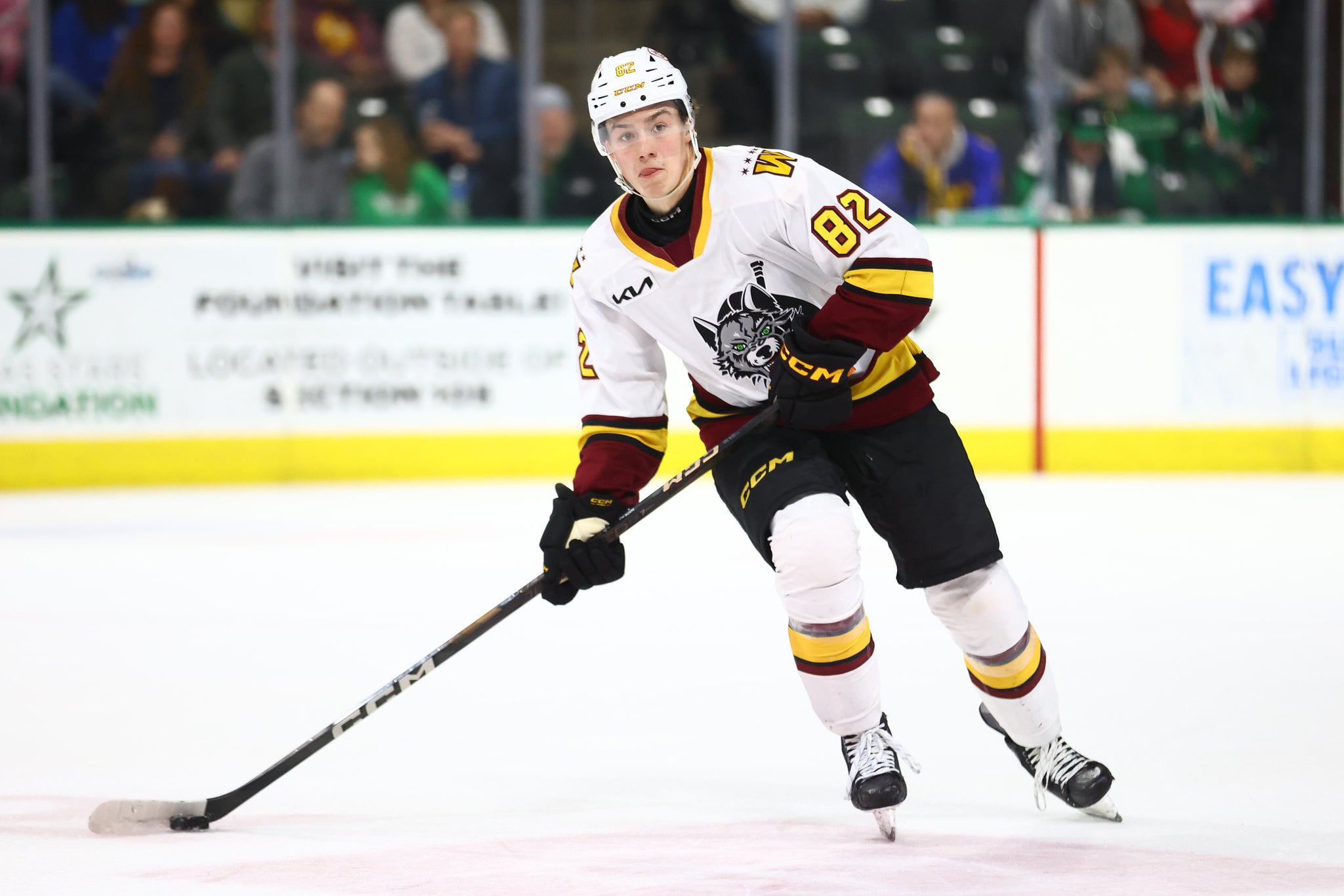 Chicago Wolves Punch Ticket to Calder Cup Playoffs