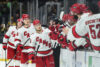 Justin Robidas Carolina Hurricanes
