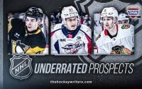 Every NHL Team’s Most Underrated Prospect
