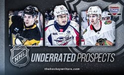 Every NHL Team’s Most Underrated Prospect