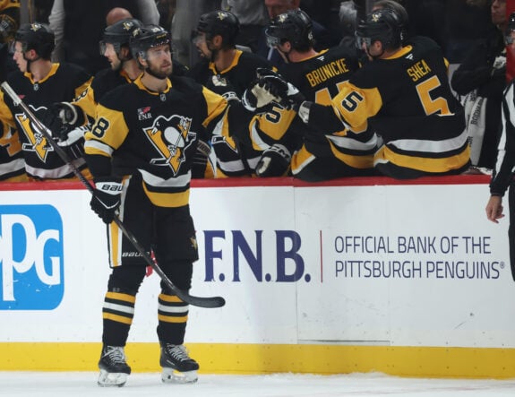 Mike Reilly Could Add Veteran Depth to the Penguins Defense