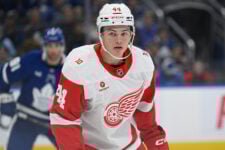 How Have the Red Wings’ Youngsters Performed This Season?