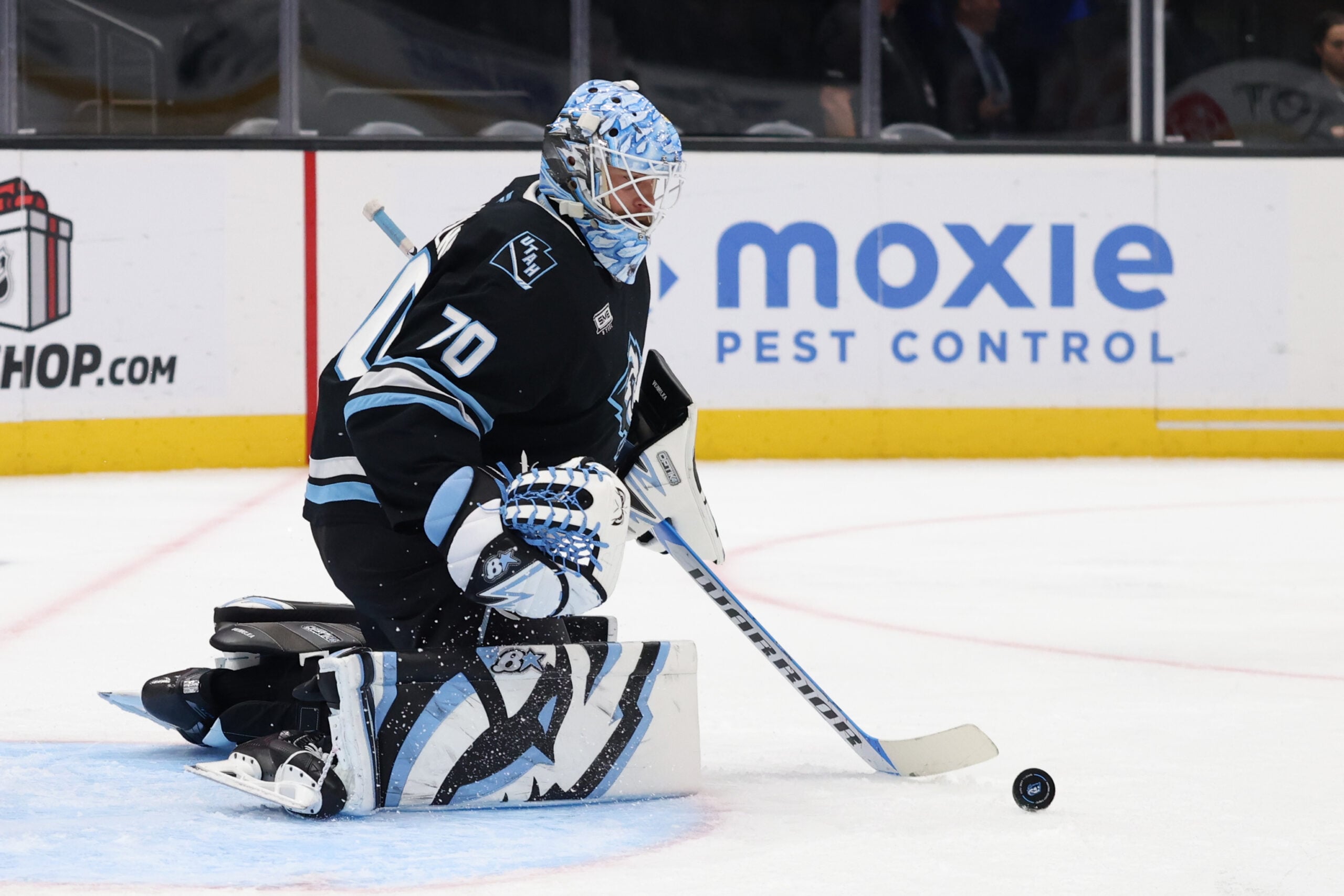 Mammoth Need Goaltending Reinforcements to Ease Karel Vejmelka’s Workload