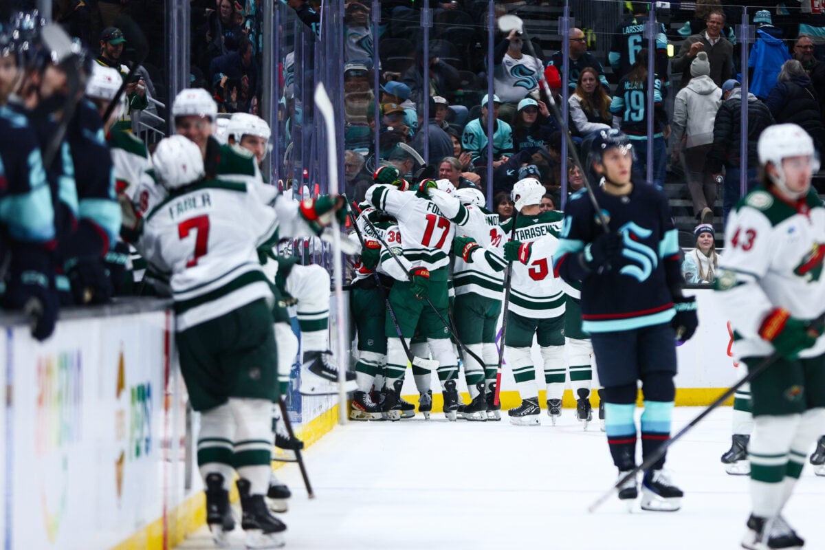 Minnesota Wild Celebrate