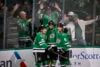 Dallas Stars Celebrate