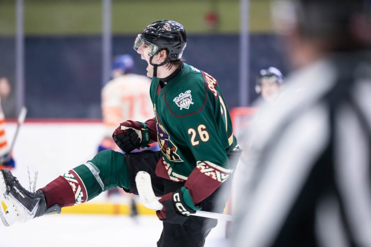 Dmitri Simashev Tucson Roadrunners