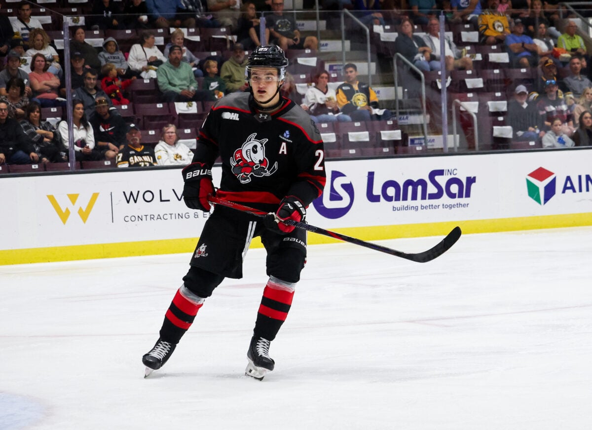 Ryan Roobroeck Niagara IceDogs