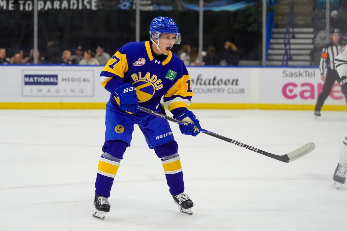 Dustin Willhöft Saskatoon Blades