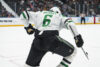 Lian Bichsel Dallas Stars