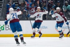 2026 NHL Western Conference Playoff Teams: Who’s Hot & Who’s Not