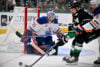 Tristan Jarry Edmonton Oilers