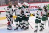 Minnesota Wild Celebrate