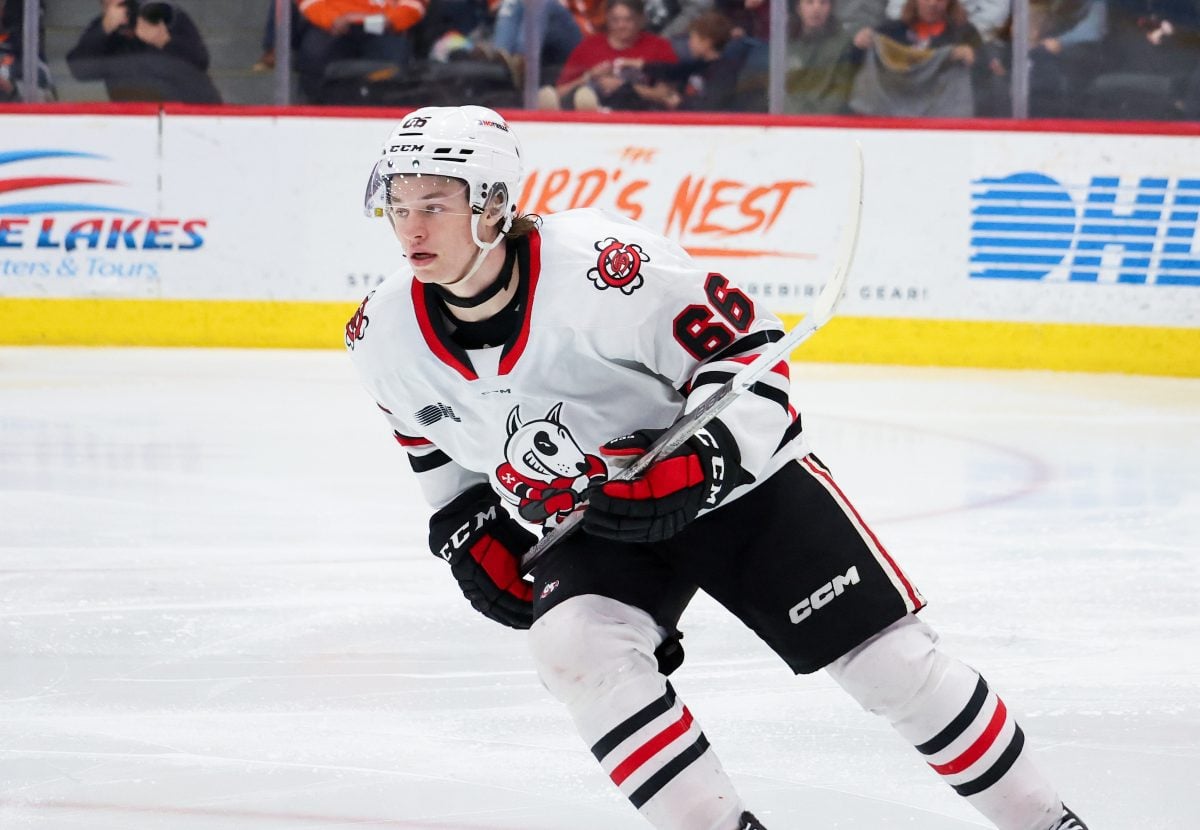 Braidy Wassilyn Niagara IceDogs