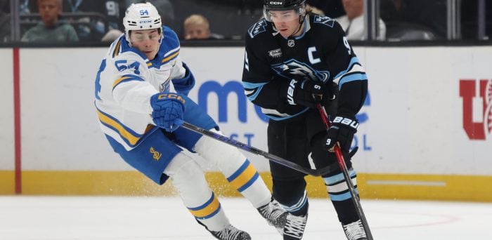 3 Takeaways From Mammoth’s 5-3 Loss to Blues