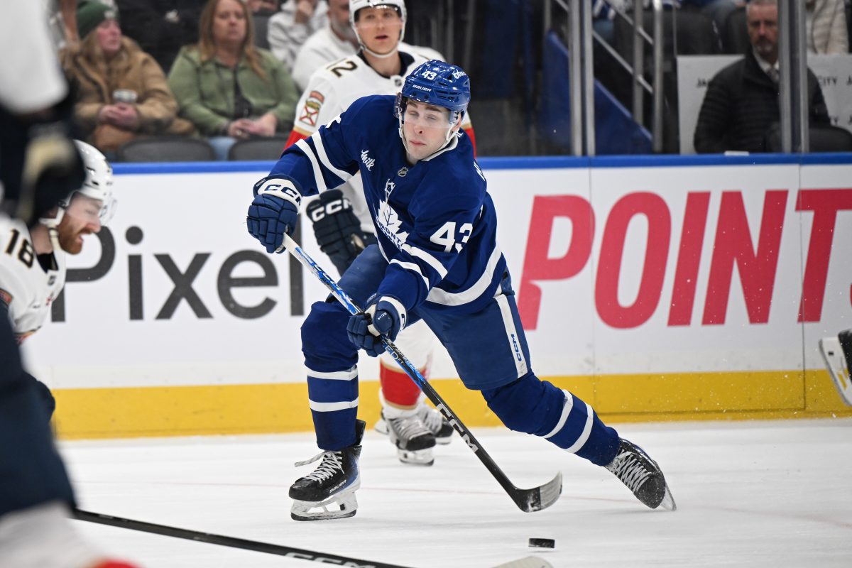 Luke Haymes Toronto Maple Leafs