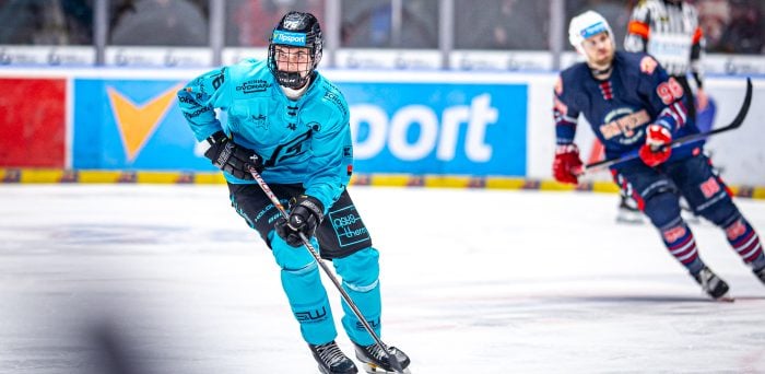 David Sedlacek – 2026 NHL Draft Prospect Profile