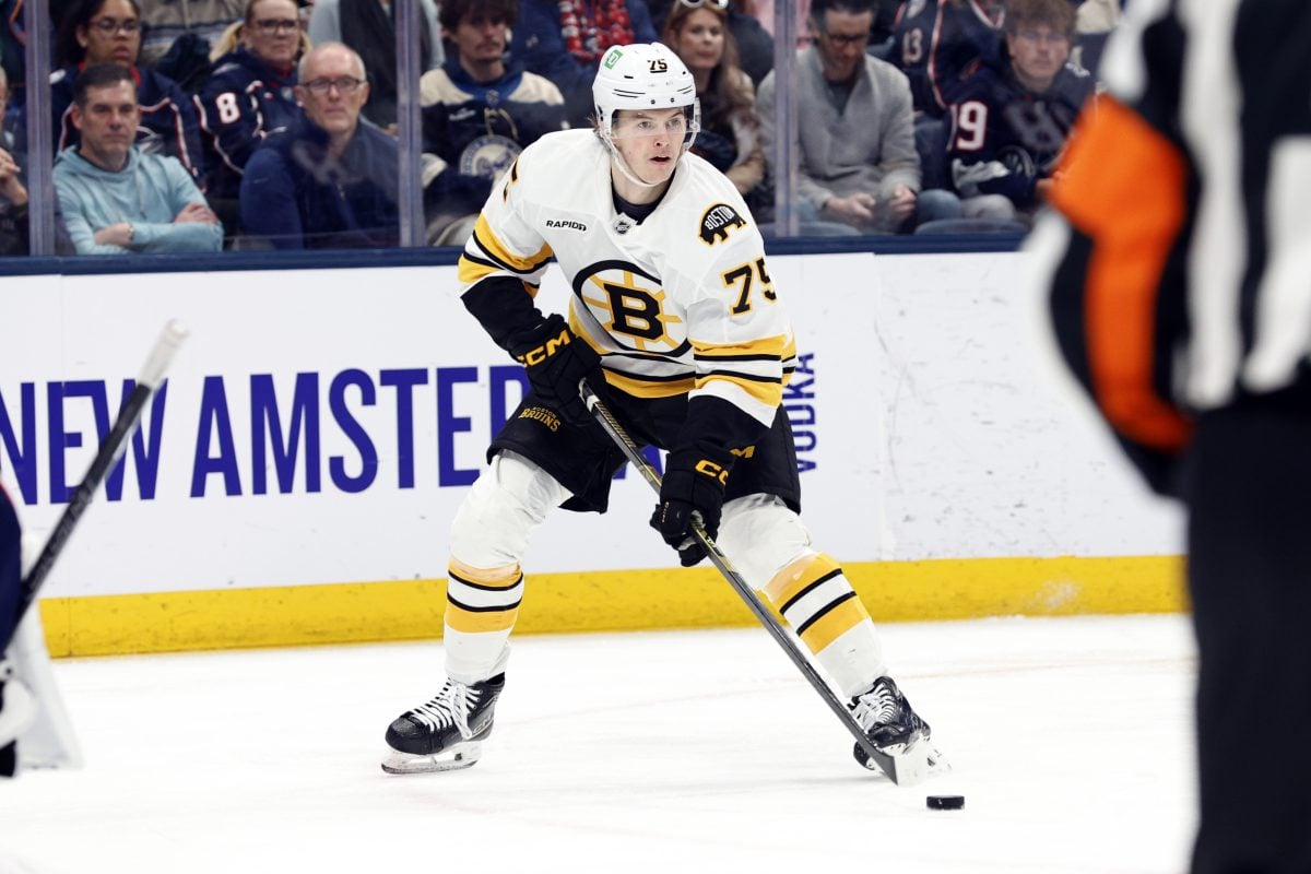 Lukas Reichel Boston Bruins