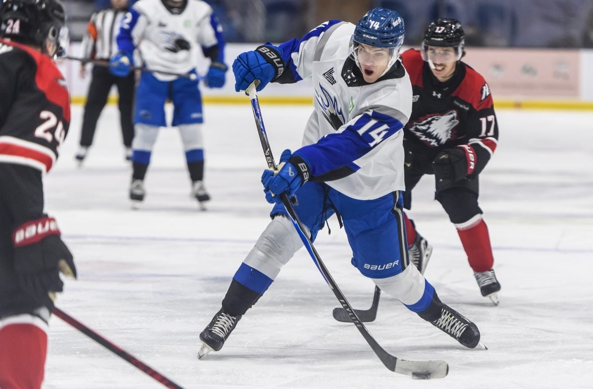 Olivers Murnieks Saint John Sea Dogs