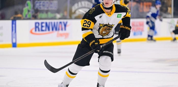 Vladimír Dravecký – 2026 NHL Draft Prospect Profile