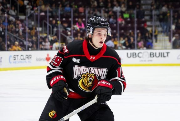 Wesley Royston – 2026 NHL Draft Prospect Profile